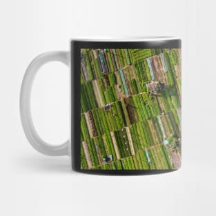 Vegetable village aerial view in Hoi An, Vietnam Mug